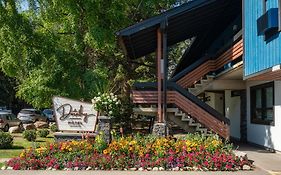 The Dorothy Motel
